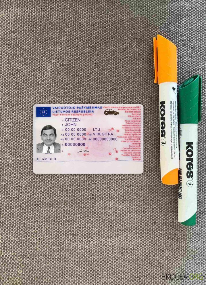 Lituanie dl 2013 présent photolook AVANT